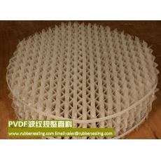 PVDF STRUCTURED PACKING 250Y